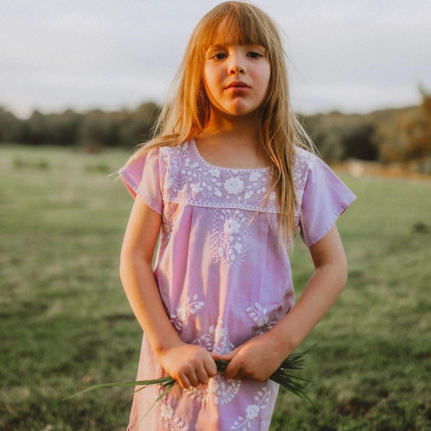 Girls Lilac Hand Embroidered Dress